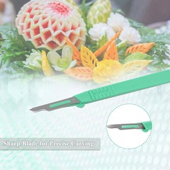 10Disposable Sterile Surgical Scalpel #15Callus&Wart Removal,Podiatry,Dissection
