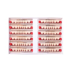 Dental Denture Acrylic Resin Teeth Upper Lower Anterior/Posterior Shade A1/A2/A3