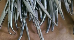 Lot of 200+ Assorted Tissue Forceps Straight, curved, tissue and scissors..