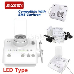 LED Dental Portable Ultrasonic Scaler 2*Bottles Fits EMS Woodpecker Handpiece US