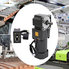 AC Gear Motor Speed Reduction Ratio 1:30 High Torque Speed Reduction Motor 45RPM