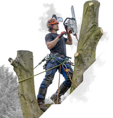 24-Strand 7/16 in (11 Mm), USA Made Arborist Rope – 7,000 Lb MBS – Static Climbi