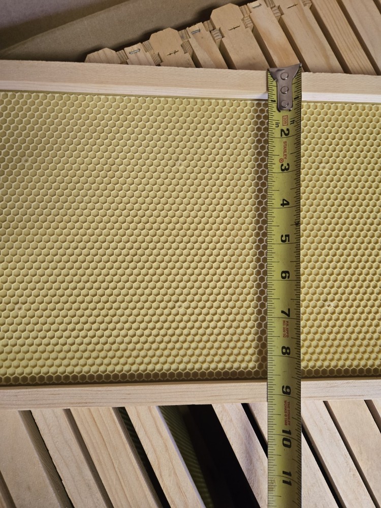 Deep Brood Beehive Frames with Wax Foundation