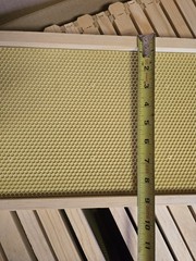 Deep Brood Beehive Frames with Wax Foundation