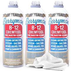 Berryman B12 Chemtool Fuel Injector Cleaner Solution 15oz Carburetor Towel