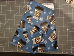 100 6×9 Mocha Peppermint Poly Mailer Bags Fast Shipping