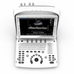 Chison ECO3 Vet Ultrasound With Equine Rectal Probe -Warranty 3 Years Used