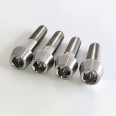 M6 Titanium Bolt Taper 10/16/18/20/25/30/35/40/45/50~65mm Allen Socket Cap Screw