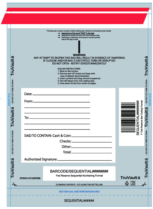 100 Plastic Deposit Bags – Opaque – 10″ x 13″ (A Size)