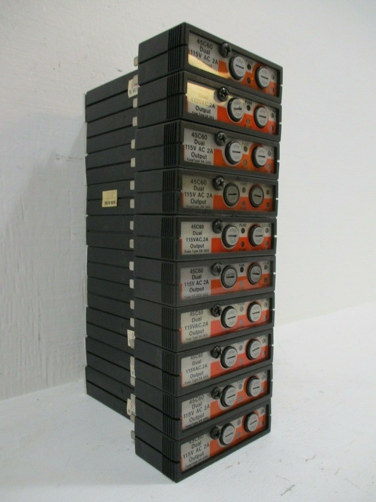 Lot of 10 Reliance Electric 45C60 AutoMate Dual 115V 2A Output Modules Qty 10