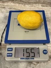 USPS United States Postal Service 10LB Digital Table Top Scale Tested Works Good