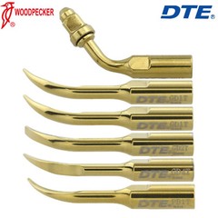 Woodpecker DTE Dental Ultrasonic Piezo Scaler LED Handpiece Satelec ACTEON/EMS