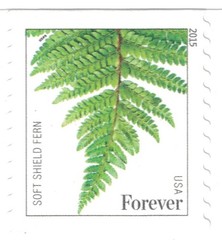 United States Postal Service Usps Ferns – 25