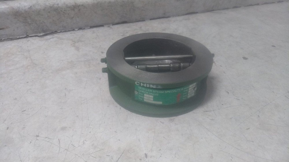 Mueller Steam Specialty 4 71AHB3H 4 In Pipe Size Double Disc Check Valve