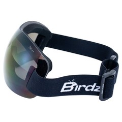 Birdz Eyewear Starling Skydiving Padded Motorcycle Goggles Blue Mirror Lens