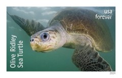 United States Postal Service Protect Sea Turtles 2024 5 Sheets Of 18