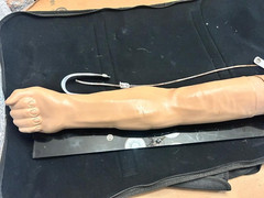 Gaumard Right Handed Training Arm Manikin