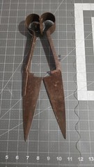 Vtg Sheep Wool Shears Steel Rusty Primitive
