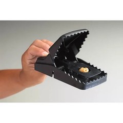 2 Trapper T-Rex Easy Set Rat / Rodent / rata Control Snap Trap Re usable Trex