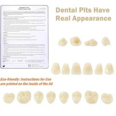 Dental Acrylic Resin Denture Teeth A2 T8 Full Set False Teeth Upper Lower