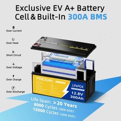 PUJIMAX 12V 100Ah LiFePO4 Lithium Battery BMS 100Ah Cycle Deep for Solar RV NEW