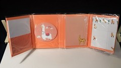 Jot Sticky Notes & Memo Pad In Alpaca Trifold Pink Booklet, New In Plastic