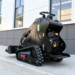 Mini Skid Steer Loader 13.5HP Rato Gas Engine Tracked Hydraulic for Farm Garden