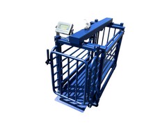 US-BC7120 “Big Blue” Livestock Scale (500 lb x 0.5 lb)