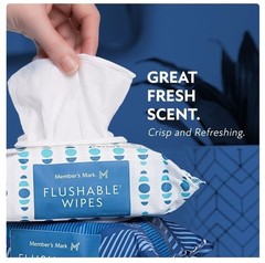 🧻 Member’s Mark Flushable Wipes Fresh Scent 540 Count Soft & Gentle Pack 🧻