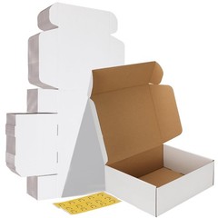 12x10x4 inches Shipping Boxes Set of 15, White Corrugated Cardboard Box for M…