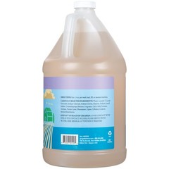 Ginger Lily Farms Botanicals Plant-Based Liquid Laundry 128 Fl Oz (Pack of 1)