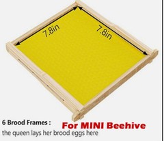 MINI 10X Upgraded Auto Honey Frames &Wooden Bee Hive House Beehive Box