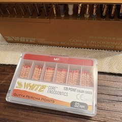 SS-WHITE Core Endodontic Access And Shaping Kit