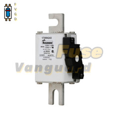 1PC Eaton BUSSMANN 170M4243 400A 1250V Fuse
