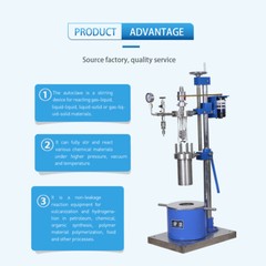 220 Bar High Pressure Reactor Lab Autoclave Vessel with Stirring Lift SS316