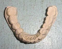 Plaster Lower Jaw Denture Cast for False Teeth Prop Creepy Decor