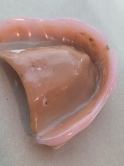 Dentures False Fake Teeth Upper Plate Dentist School Oddity Halloween Prop