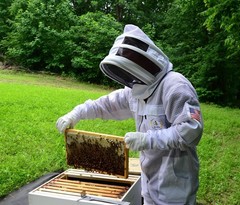 3 Layer Bee Suit with Fencing Veil One Pair Gloves Sting Proof Ventilated Beekee