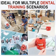 Dental Typodont Teeth Model Dental Simulator Dental Mannequin Implant Head Model