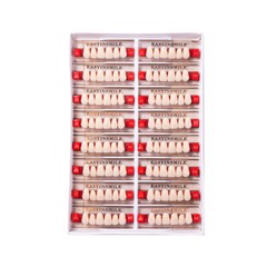 Dental Acrylic Resin Tooth Denture False Teeth Upper Anterior Lower 6Set*16Pc