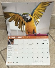 2027 Best Friends ‘Save Them All’ Wall Calendar ~ 10 7/8 x 8.5 ~New
