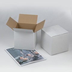 6x6x6 Inches Shipping Boxes Set of 40, White Corrugated Cardboard Box Literat…