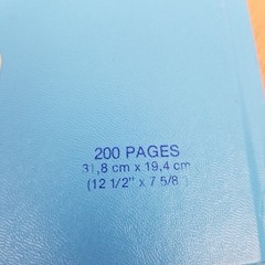 Blueline Vintage Ledger Book Hardcover Unused 200 Pages Three Column A790