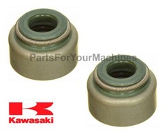 (2) OEM VALVE SEALS, KAWASAKI FH381V, FH430V, FH451V, FH500V, FH541V, 11D13