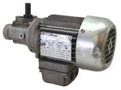 Carpanelli Motors MOT3-M56B4-TROP., 50/60Hz, 0.15HP, 255/440V, 0.77A, 1660RPM