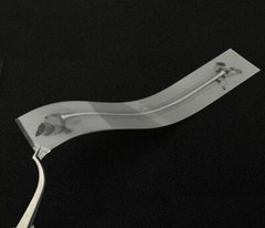 1Piece Dental Composite Flexible Fiber Strip Glass Fiber Splint Ribbond Ribbon
