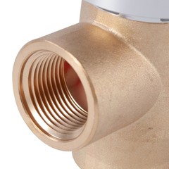 Watts 3/4 LF288A Anti Siphon Vacuum Breaker