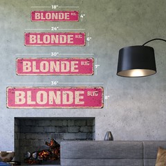 BLONDE BLVD Vintage Street Sign Metal Plastic hair blondie stupid funny blondes