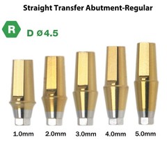 Titanium Straight Abutment Compatible with Osstem Hiossen TS Regular DIO UFII R