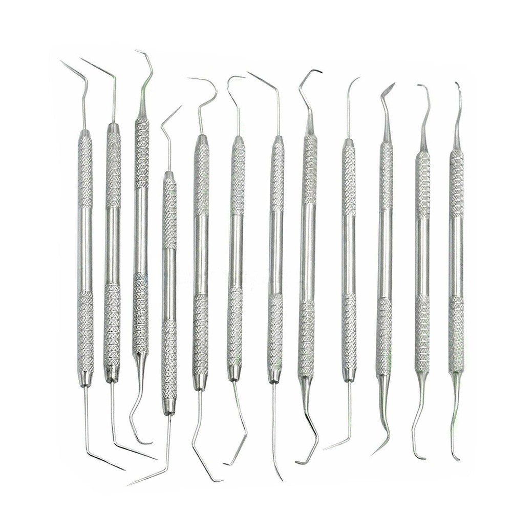12 Piece Dental Probe Pick Tool Instrument Set Stainless Steel Scaler PR-296